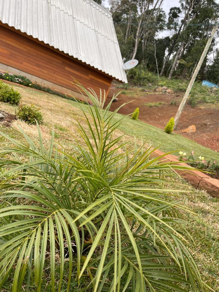 Recanto Cachoeiras Lodge